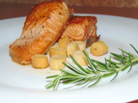 Salmon fish. Stock Photos
