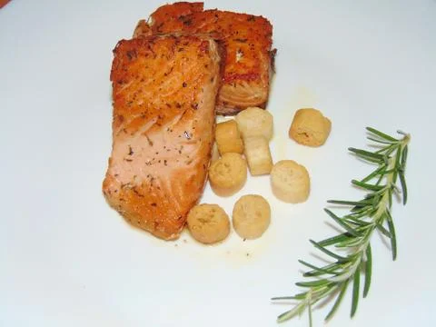 Salmon fish. Stock Photos