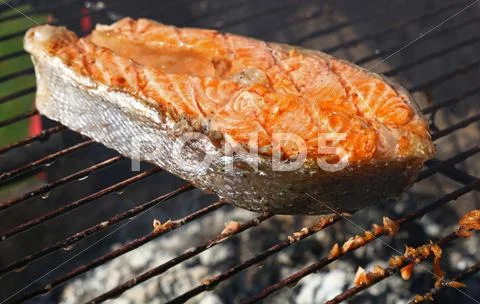 Salmon fish steak barbecue grill cooking close up Stock Photos
