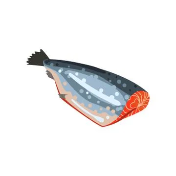 Salmon fish without head, seafood product vector Illustration on a white Illustrazione stock
