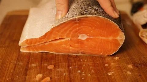 Salmon Stock Footage 122821459