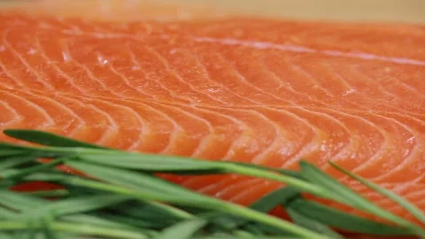 SALMON Video stock 143733145