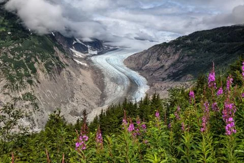 Salmon Glacier Stock Photos