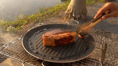 Salmon Grill At Camping site Stock Footage 238987723