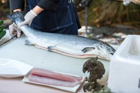 The salmon is in the hands of the experienced chef. Stock Photos