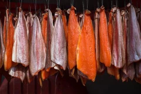 Salmon hanging in an ordered pattern for smoking Stock Photos