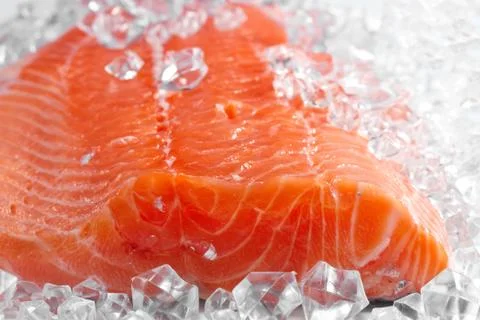 Salmon on ice Stock Photos