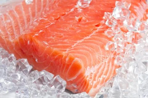 Salmon on ice Stock Photos