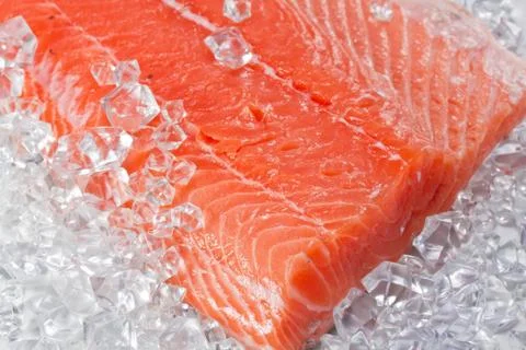 Salmon on ice Stock Photos