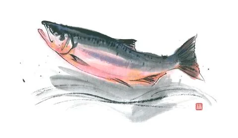 Salmon Stock Illustration