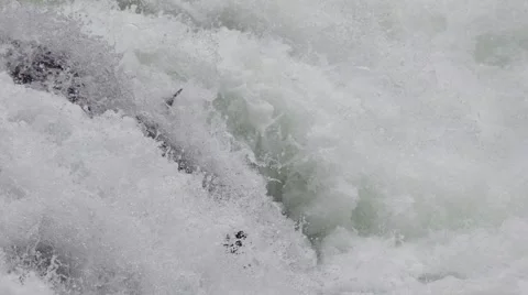 Salmon Jump River Timelapse 02 Video stock 2227330