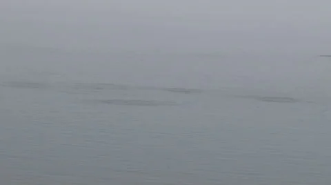 Salmon Jumping Stockbeeldmateriaal 48239047