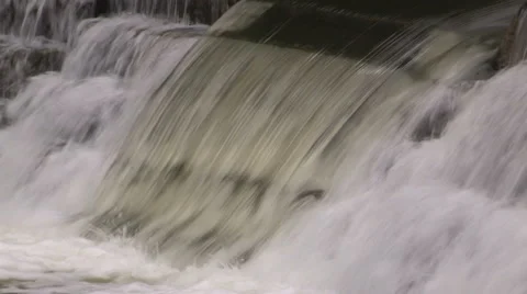 Salmon jumping in the humber river in Toronto Stock Footage 68070944