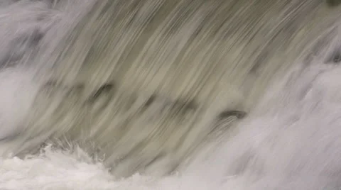 Salmon jumping in Humber river at Toronto historic old mill Stock Footage