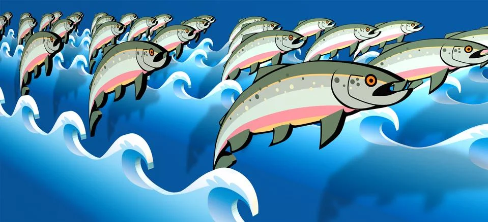 Salmon jumping Illustrazione stock