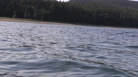 Salmon jumping in ocean Stock Footage 27758886