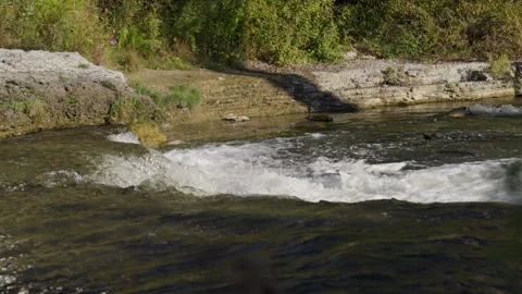 Salmon Jumping over Waterfall during Spawning Run Vidéo 344031507