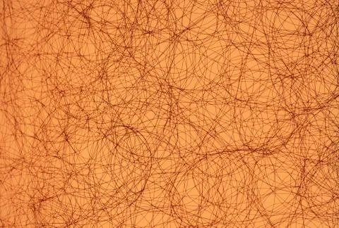 Salmon Lamp Texture Foto stock