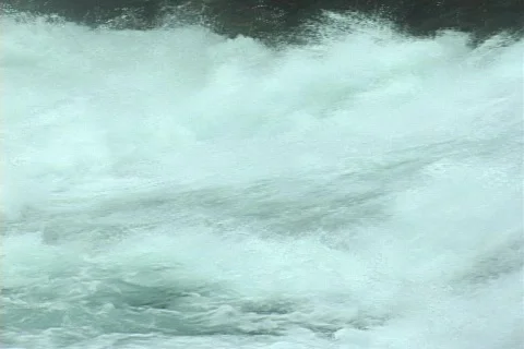 Salmon Leap Stock Footage