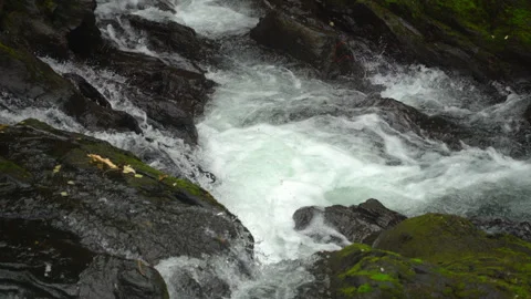 Salmon leaping up Alaskan rapids Video stock 268651887
