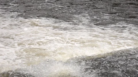 Salmon leaping Stock Footage 96246435