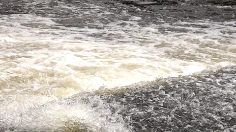 Salmon leaping Stock Footage 96246785