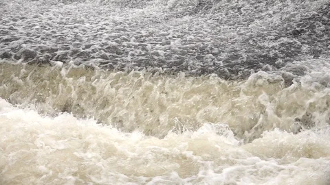 Salmon leaping Stock Footage 96246951