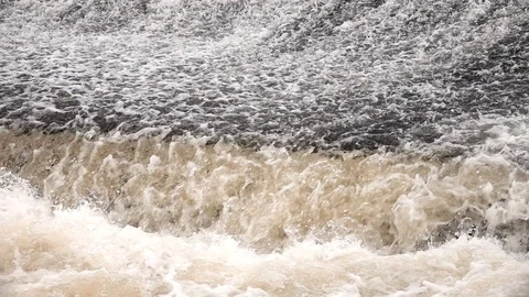 Salmon leaping Stock Footage 96247288