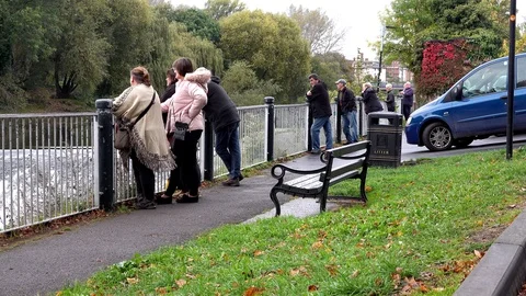Salmon leaping Stock Footage 96249086