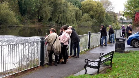 Salmon leaping Stock Footage 96249876