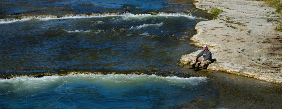 Salmon leaping rapids Stock Photos