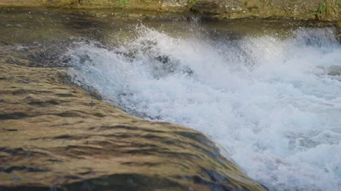 Salmon Leaping through Rushing Waterfall Cascade Stock Footage 344031437
