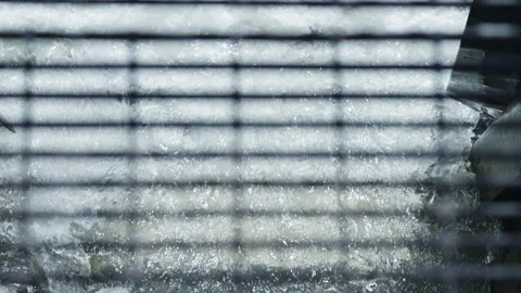 Salmon Leaping under Industrial Grate in Slow Motion Stock Footage 336106389