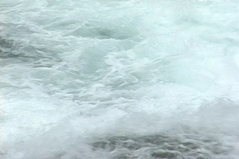 Salmon Leaping Waterfall Stock Footage