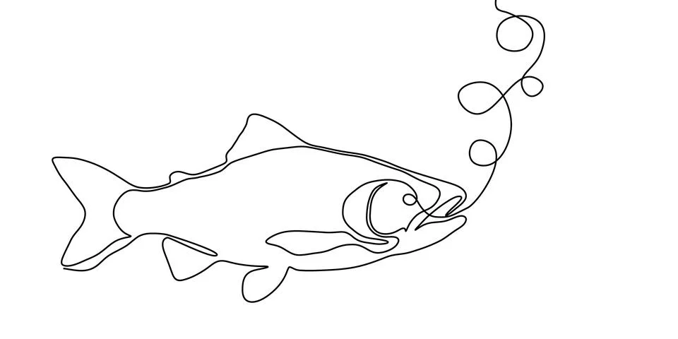 Salmon line fish continuous vector art icon tuna drawing trout seafood. Line Stock Illustration
