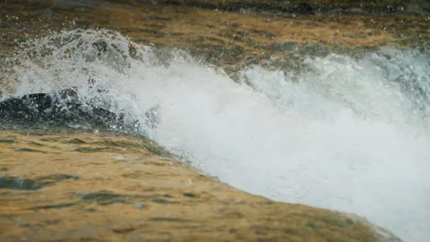 Salmon Making Clean Jump over Waterfall Edge Upstream Stock Footage 344031089
