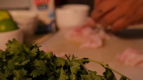 Salmon making Stock Footage 103031158