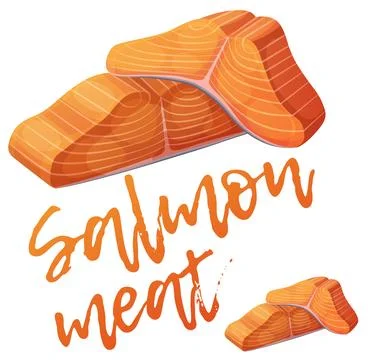 Salmon meat icon. Cartoon vector illustration isolated on white background Stock Illustration