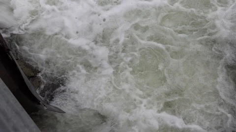 Salmon migrating back to spawning grounds and leaping over dam Stock Footage 117326813