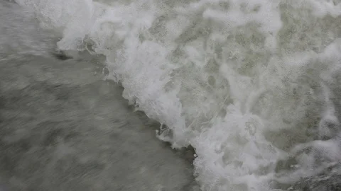 Salmon migrating back to spawning grounds and leaping over dam Stock Footage 117328223