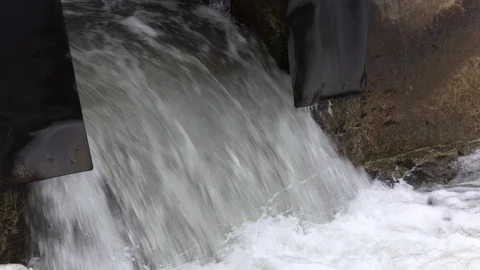 Salmon migrating back to spawning grounds and leaping over dam Stock Footage 117340684