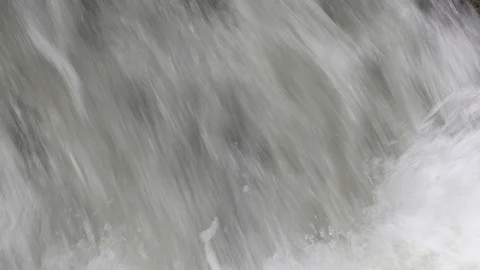 Salmon migrating back to spawning grounds and leaping over dam Stock Footage 117343401