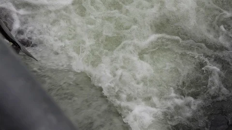 Salmon migrating back to spawning grounds and leaping over dam Stock Footage 117356123