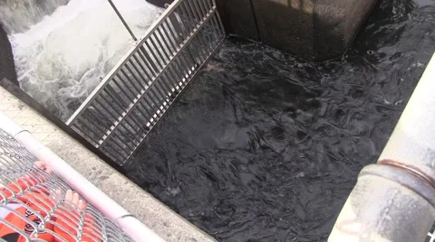 Salmon on the move at the Nimbus Hatchery Stockbeeldmateriaal 44173344