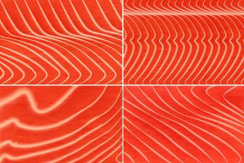 Salmon or trout meat texture vector backgrounds Stock Illustration