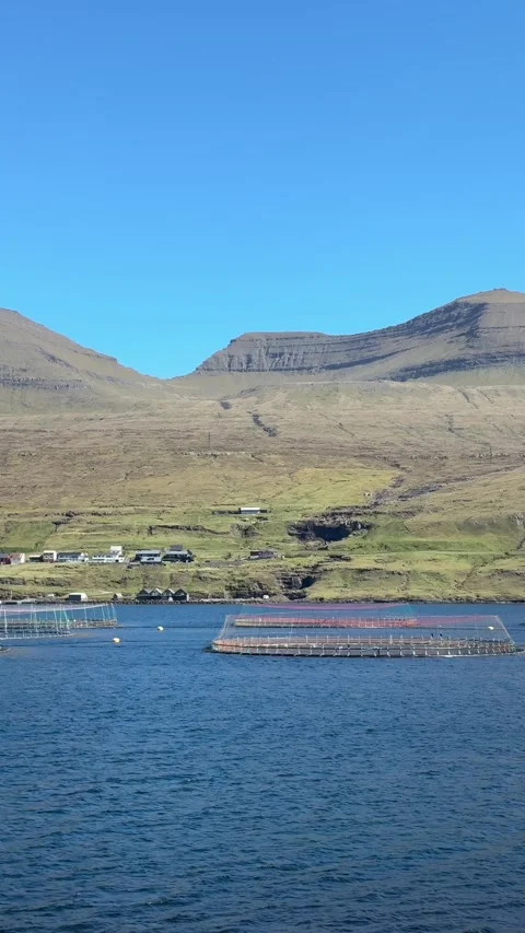 Salmon pens and a yellow feed barge dot a sheltered fjord below twin grass-cappe Stock Footage 310948053