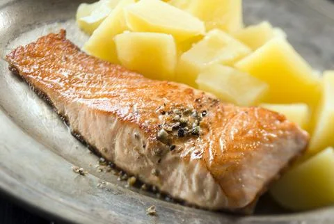 Salmon Stock Photos