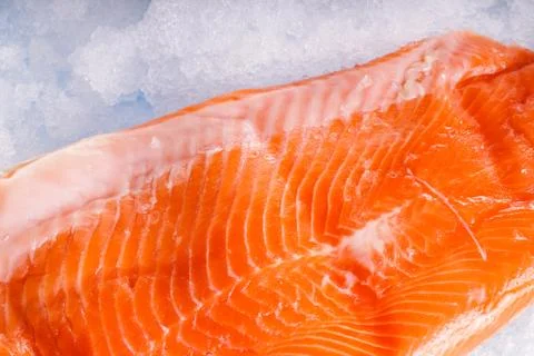 Salmon Stock Photos