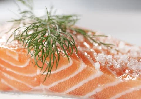 Salmon Stock Photos