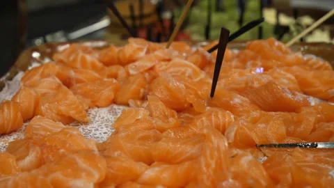 Salmon pieces on a plate Stock Footage 151591580